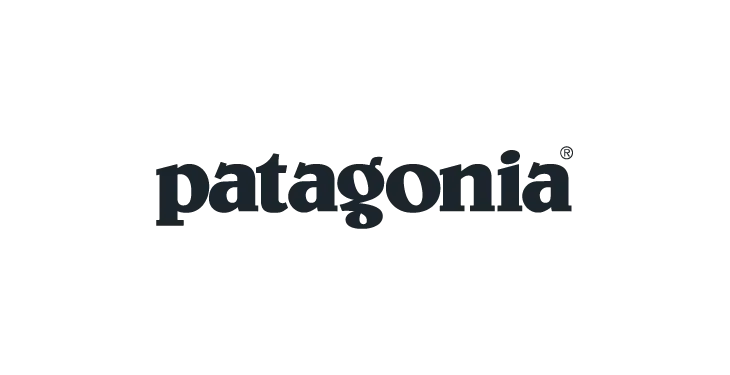 Patagonia Team Fan Gear